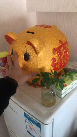 大！就一个字！
大金猪！希望给我司带来好运财运！
镇财之宝！！！
猪年大吉！！！