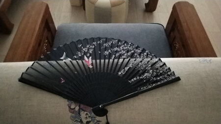 很精美的扇子，不错。就是小了点。