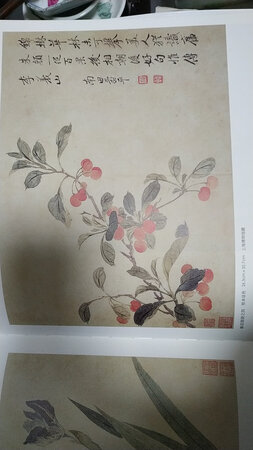 画册与图片相同，书本完好无损