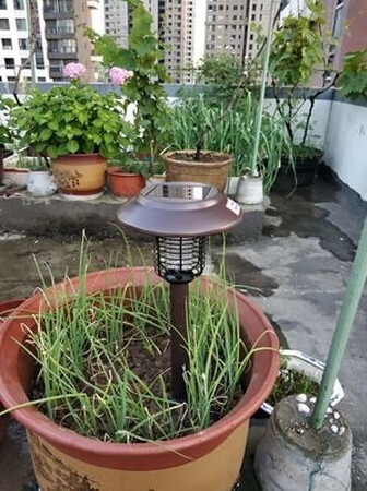 效果不错，用了两天，效果很好，每天都能电死很多蚊子飞虫，用在庭院里特别好用，那些讨厌的东西少了很多，总算没选错