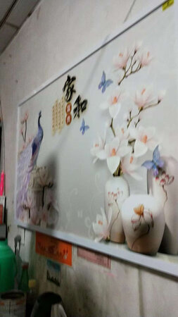 画不错特别漂亮，插上电就热。之前商家忘记装温控器了，随后又发了一次快递。谢谢老板。冬天取暖夏天当装饰物好看。