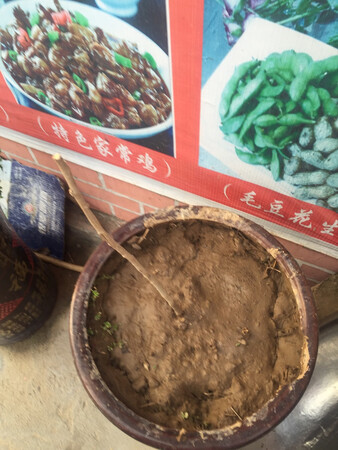 满满希望养活它...但是不知道它现在是死是活