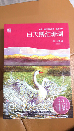 沈石溪的动物小说一直都写得非常好。