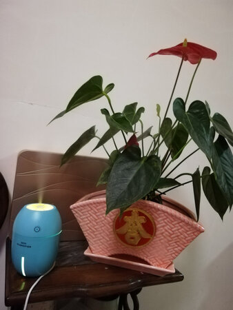 非常棒的产品，商品介绍与实物很一致，设计很美，颜色也很美。