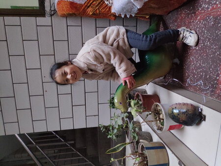 孩子很喜欢，爱不离手
