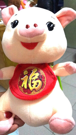 小猪很漂亮，物流快，手感不错