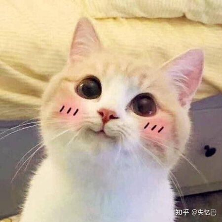 衣服质量很好，做工精细没有瑕疵，款式很好看，很好搭衣服非常好
