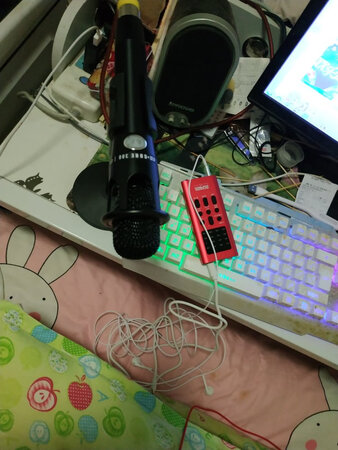 给媳妇买的，试了一下效果可以，话筒现在用在电脑声卡上，声卡准备春节回家再用。