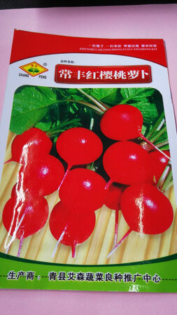 天气暖和了种上试试