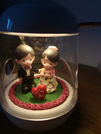 挺好的看的礼品，送老婆的，说是我少女心泛滥。?