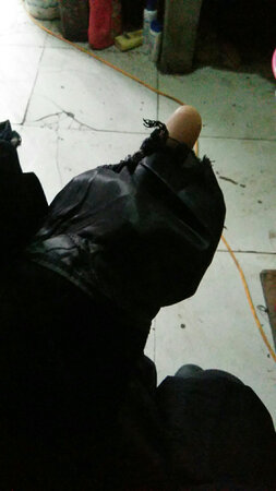 裤子好不好，一看洞就知道，您看这评价行不行？