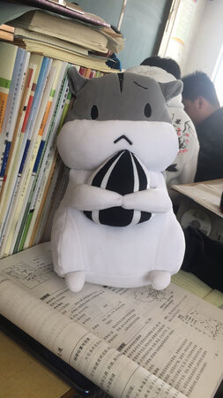 超好看，自己要求推迟送达，结果客服也刚好在那一天送到，真好
