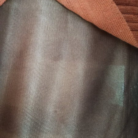 这个裙子十分透光，而且会吸上去