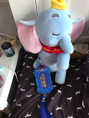 带着它  做这条街最靓的崽
