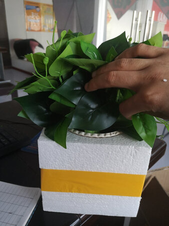 要红掌发绿萝，发错货就给退三块。不同意就自己换货，这是卖不出去了故意发错的吗?