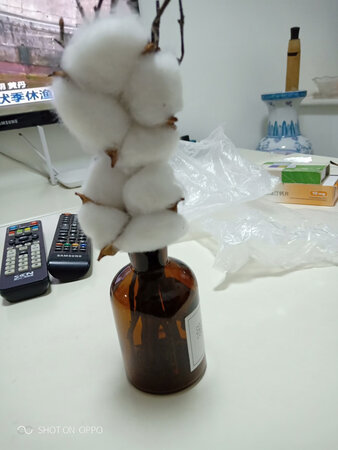 货已收到，很好看。样式不错