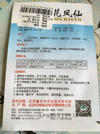 嘻嘻，静待花开