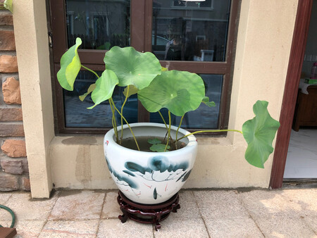 质量挺好，很满意。