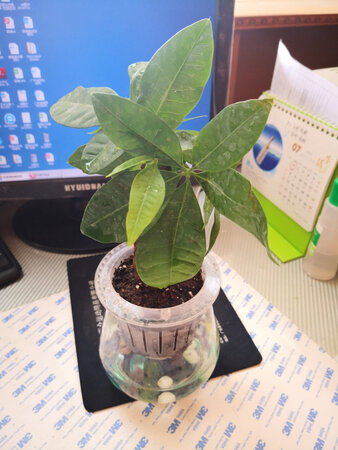 质量挺好，很满意。