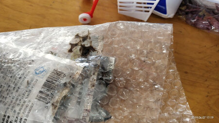物流挺快就是有点破袋，希望改进