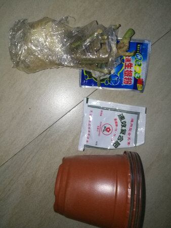 收到了