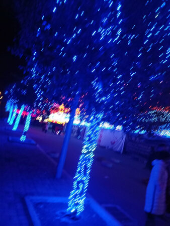 商品包装严实，物流速度很快的。画质很清晰，栩栩如生的，如果有需要会再来的