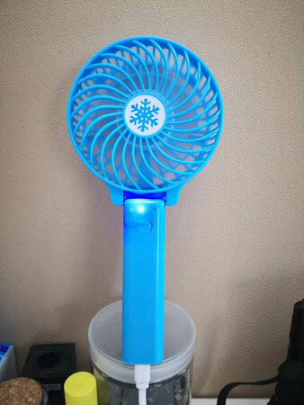 不错的