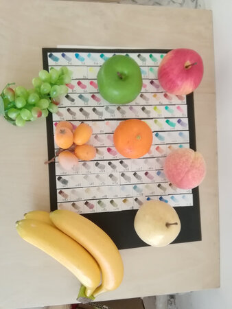 东西都还挺好，颜色也不错的，蛮逼真的，客服也很好