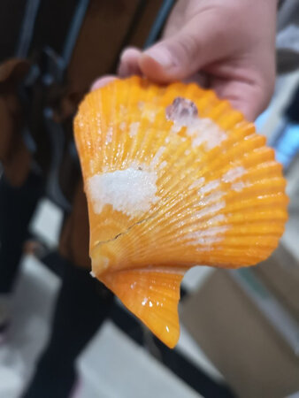 不怎么样，正在退货呢，特别是客服解决问题能力有待提高！