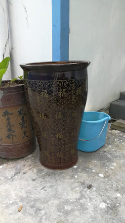 老板最好别骗我，我要用这大盘子种上，明年吃果子。