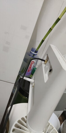 网速有明显提升，不错