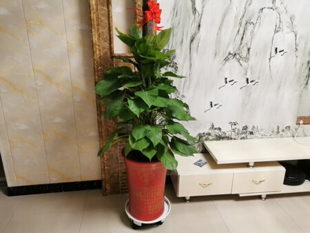 双十一买的比较划算 东西也很好