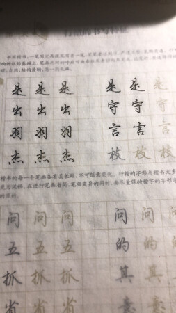 好棒啊！但是七天只有一本，可我又想练左手又想练右手（右手太抖了，估计七天不行啊……可是我又想练右手/左手会画画就行了吧！）/