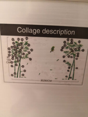 物流包装破损，不送货上门，差评；参考图太小，看得眼疼，差评；好不容易贴好，感觉竹子稀稀拉拉，差评；不值19块，太贵，差评。