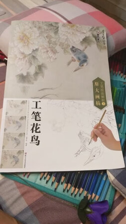 还不错 推荐给大家试试