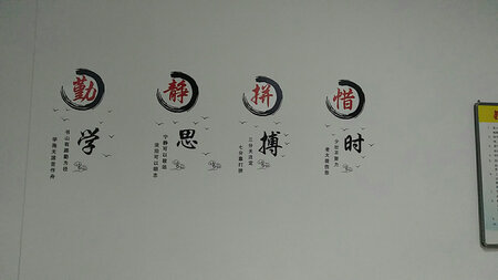 质量挺好，很满意。