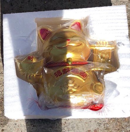 很漂亮的猫，包装的也很好，非常喜欢