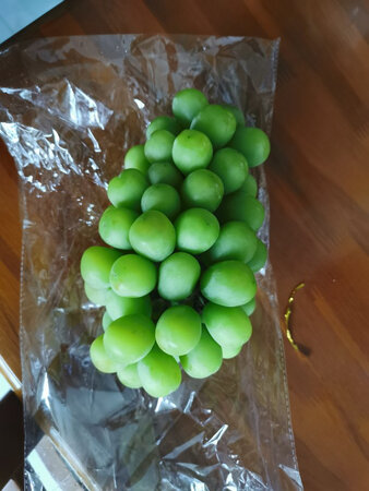 阳光葡萄顾名思义充分吸收阳光能量的水果，近几年国内大量的引进，价格也逐渐地降下来了，大众也能接受了，加上京东的促销活动，越来越实惠。葡萄下单后，京东的物流配送给力，第二天送到，也就十几个小时，而且葡萄每一颗都完好，京东的配送真给力。