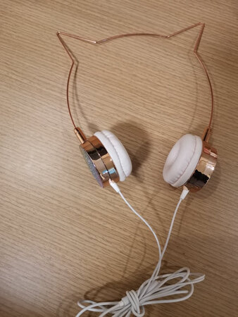 朋友很喜欢，外观与描述相符，好看，音质也不错