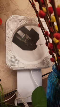 物流很快给孩子买的学习用的，希望能用住，电源插头设计的不好又没质感又占地方