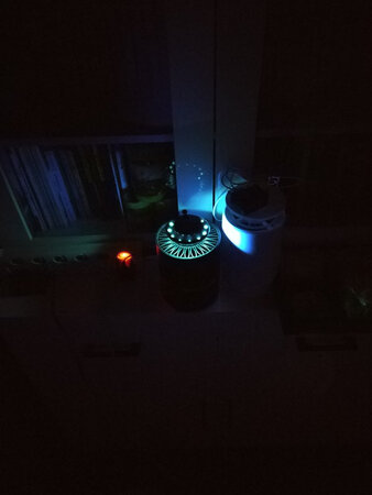虽然已经是秋天了，蚊子还是不少，而且很毒，咬人特痒，点了这个灯，蚊子就没了，可以一觉睡到自然醒