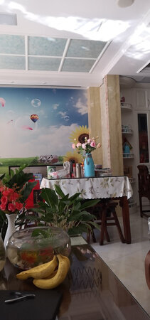 适用场景：任何地方
美观程度：好
大小尺寸：可以
工艺品质：不错
物流快，昨天下单今天收到