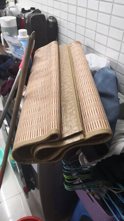 这个夏季不太粘背，入秋了，我把要把它雪藏起来。