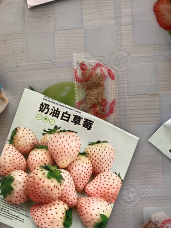 感觉还可以，就是不知道好不好吃，能接多少。等出成果了再来评价。