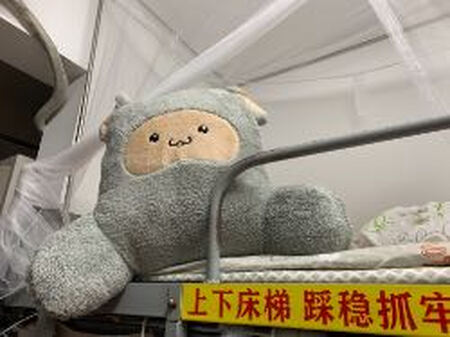 太可爱了！！爱！