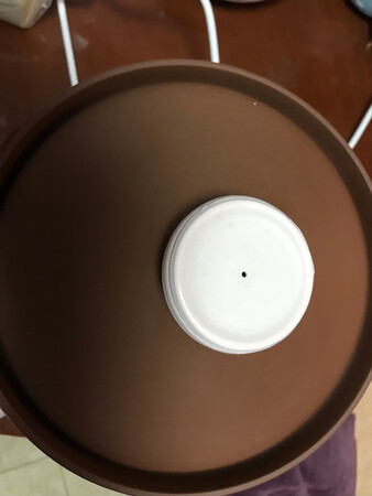 曾经买过小熊家的煮蛋器等，对小熊印象很好，价格相对来说有点小贵，但是质量真心好，颜值又高，所以一直比较支持小熊的产品。早晨电饭锅煮粥，容易溢出来，需要人看着，很浪费时间，还要起早做，很不方便。在网上看了好久，选择了这款，没有令我失望，煮了几次了，可以提前预约，第二天可以喝到香喷喷的大米粥或者小米粥，很糯很好喝，慢慢熬出来的感觉，且不需要看着，盖子设计也很好，不会溢出来，这款能4-6个人喝，比较大，物流也很给力。