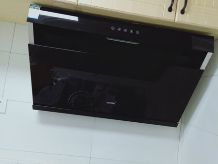 外形外观：大气
排烟效果：应该不错的，还没开始用
静音效果：还可以
清洗难度：可以
噪音程度：能接受
物流速度：快