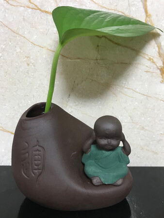 物流快速，包装完好，品质超群。。