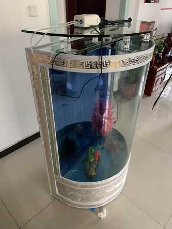 很棒的啦 很好。嘿嘿?
