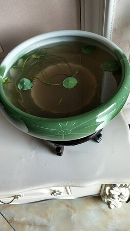 质量挺好，很满意。